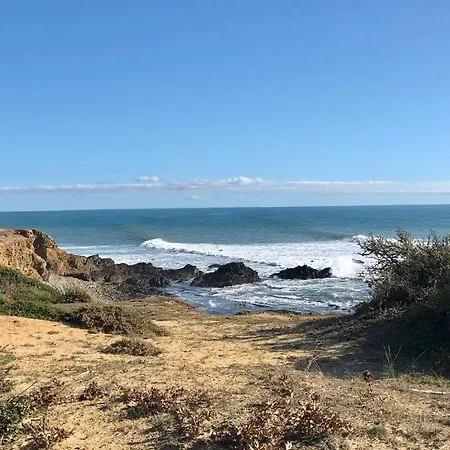 Charmante Maison A Jard Sur Mer Sur La Cote Vendeenne Extérieur photo